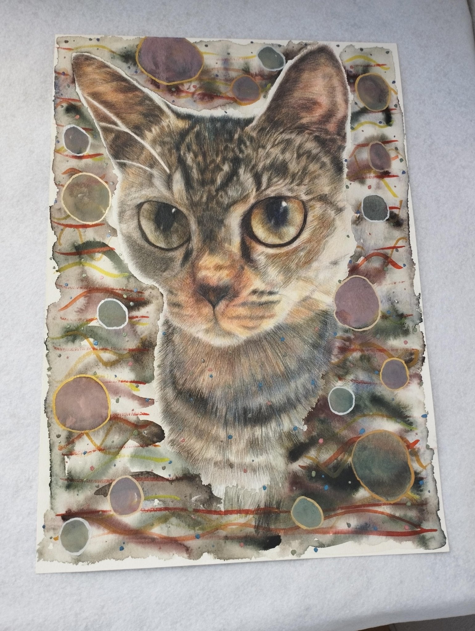 キジトラ猫 - FROM ARTIST