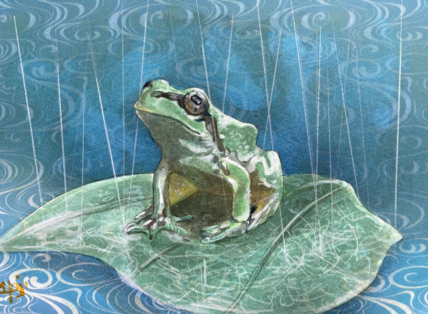 雨に打たれる青蛙 - FROM ARTIST