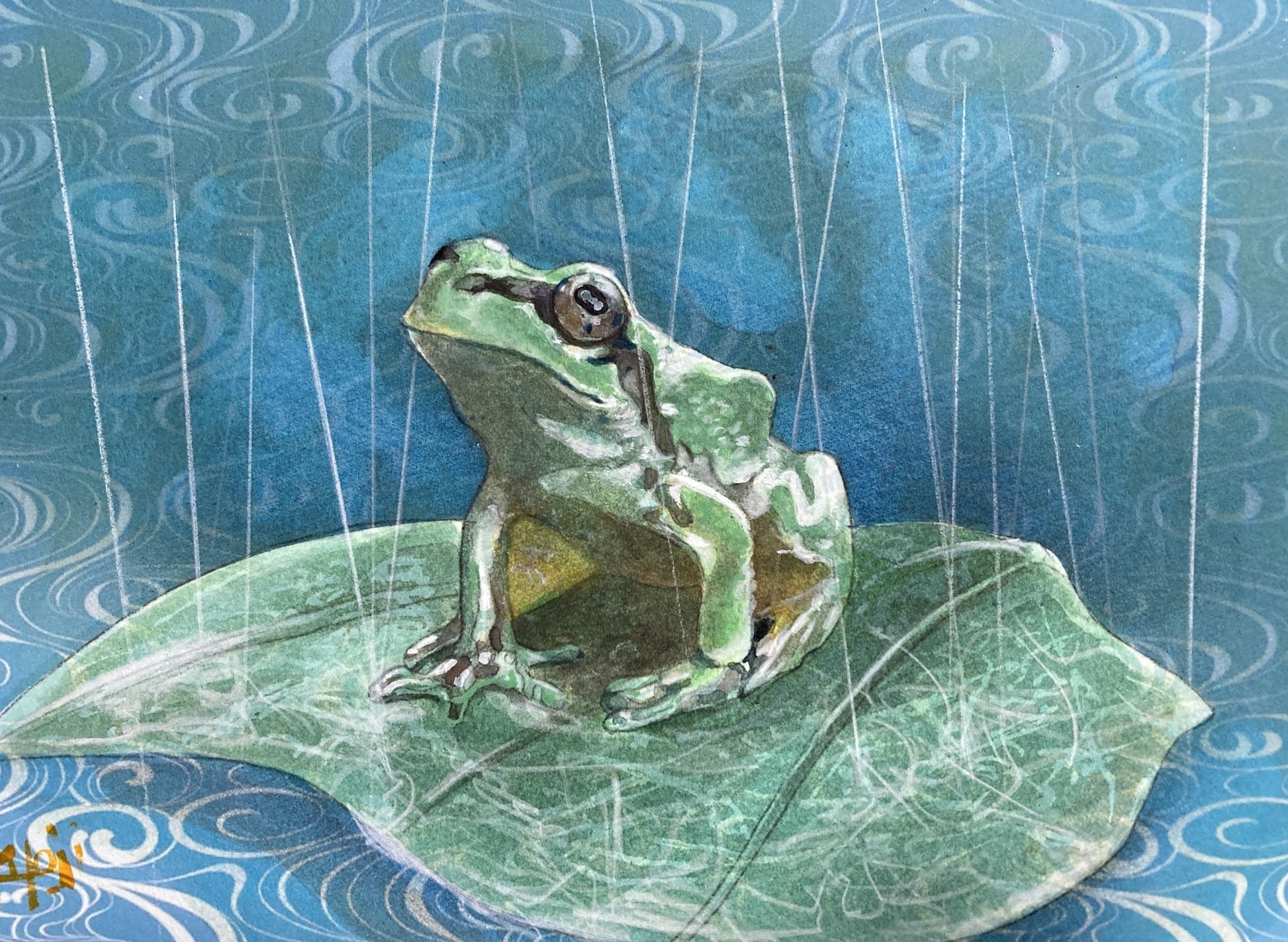 雨に打たれる青蛙 - FROM ARTIST