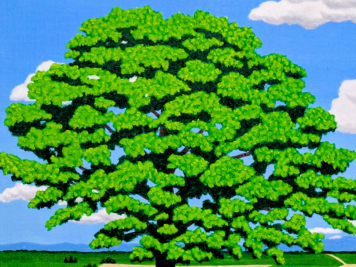 美瑛セブンスターの大木 - FROM ARTIST