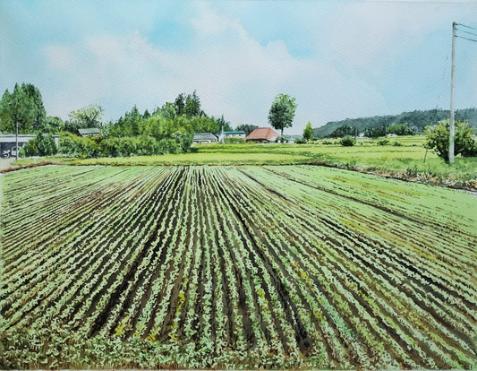 心落ち着く景色 - FROM ARTIST