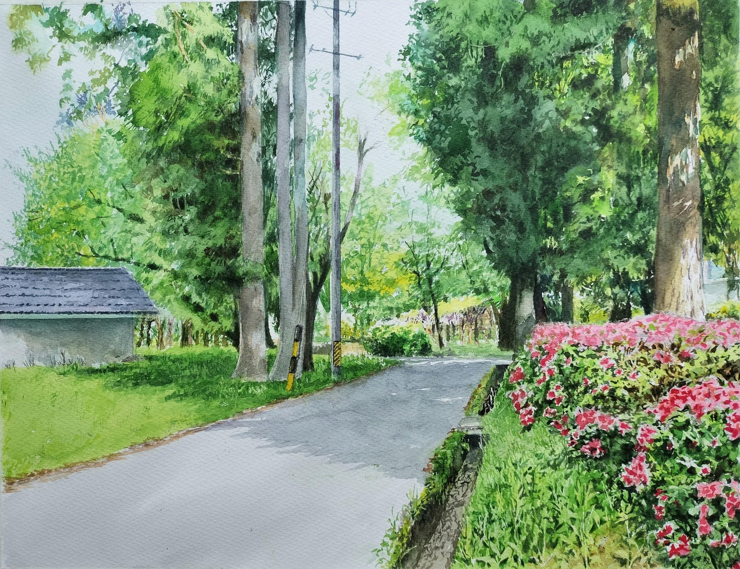 ツツジの咲く道 - FROM ARTIST