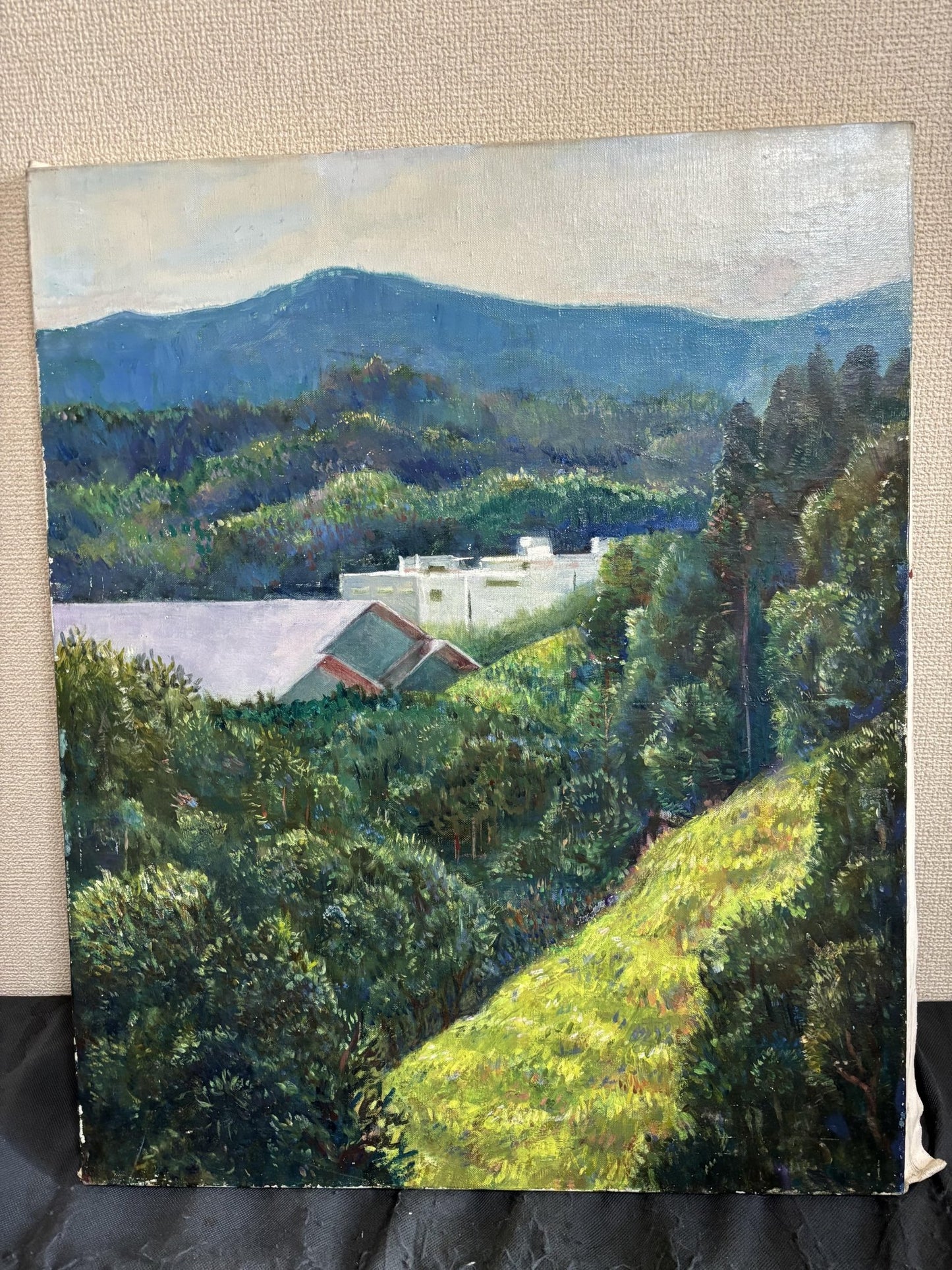 京都の山 - FROM ARTIST