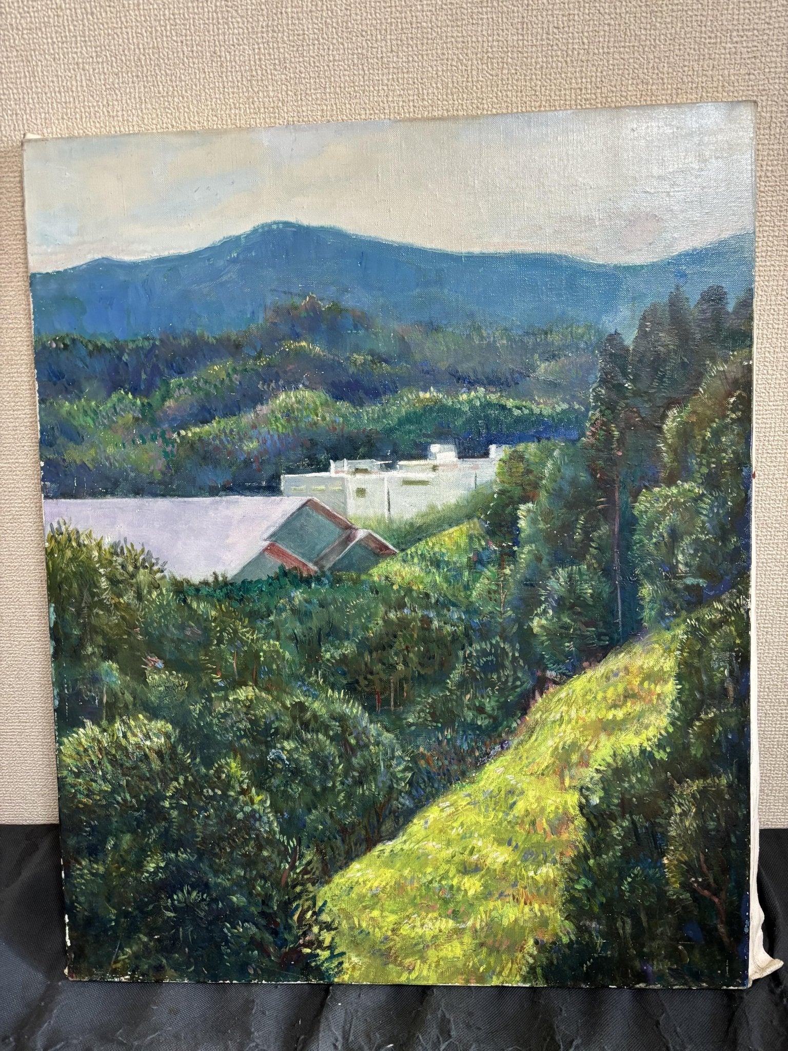 京都の山 - FROM ARTIST