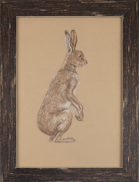ウサギ - FROM ARTIST