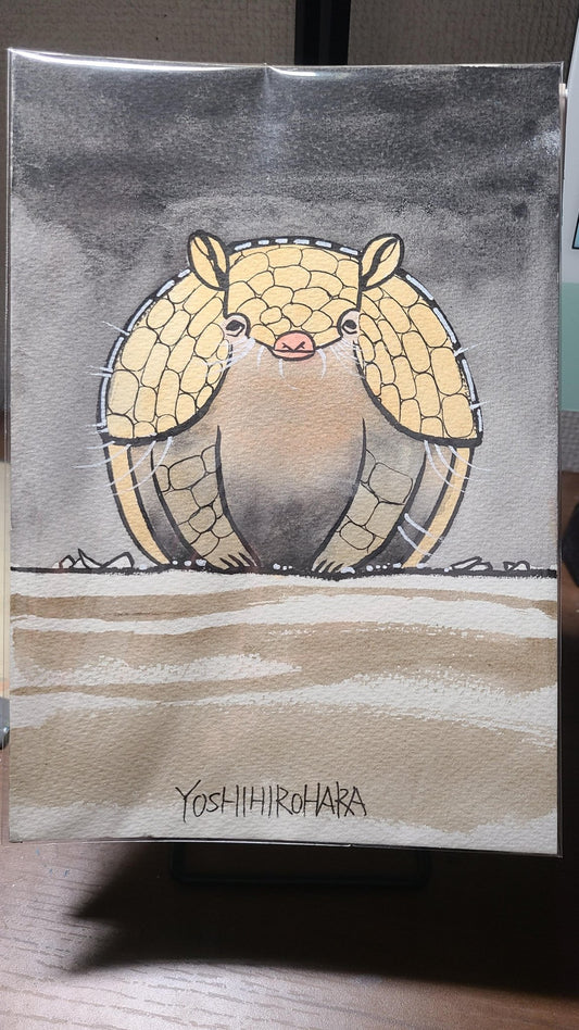 アルマジロ - FROM ARTIST