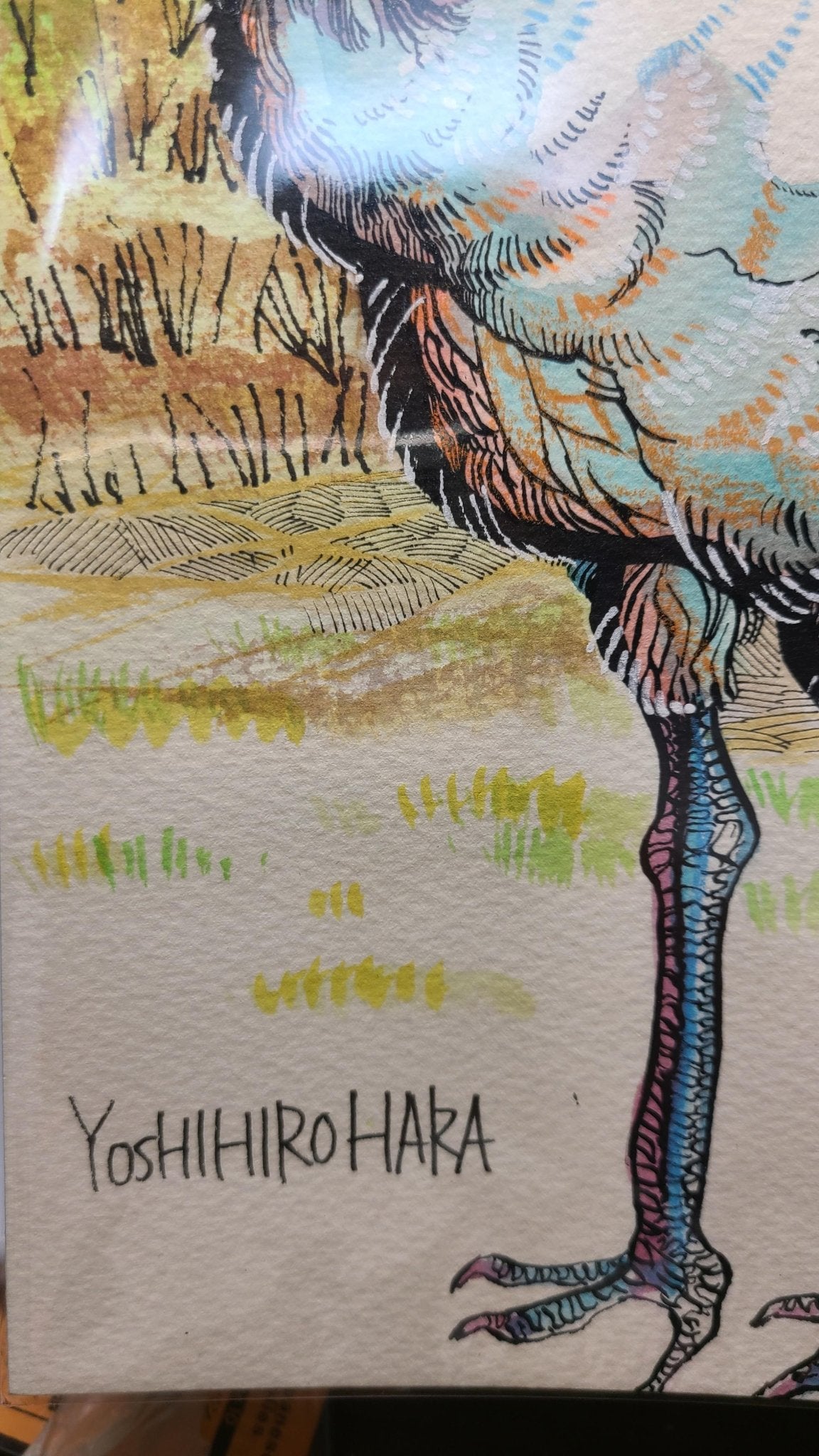 オグロヅル - FROM ARTIST