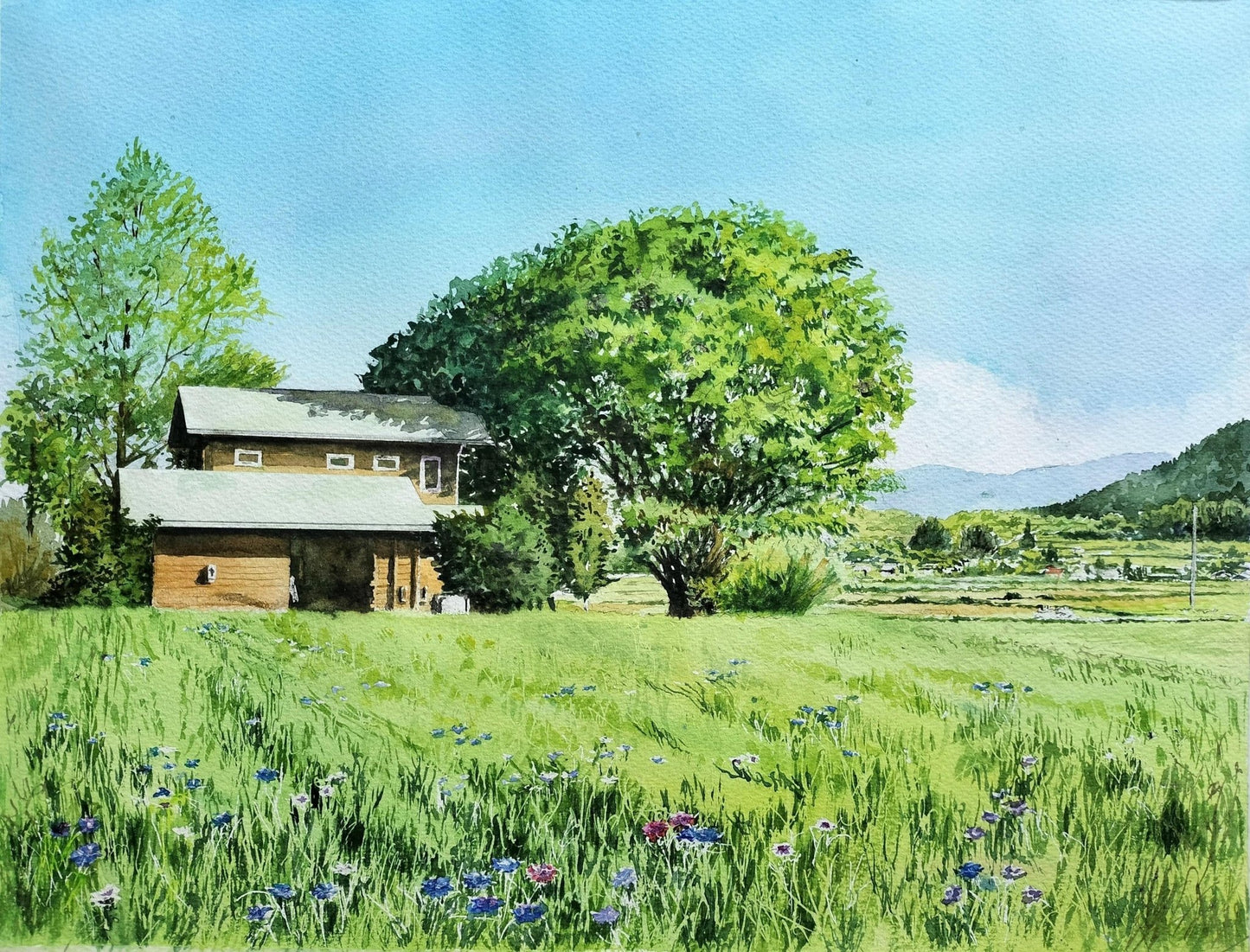 ヤグルマギクに包まれて - FROM ARTIST