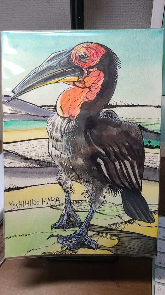 ミナミジサイチョウ - FROM ARTIST