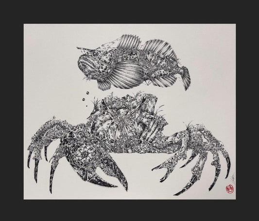川底機構生態記 - FROM ARTIST
