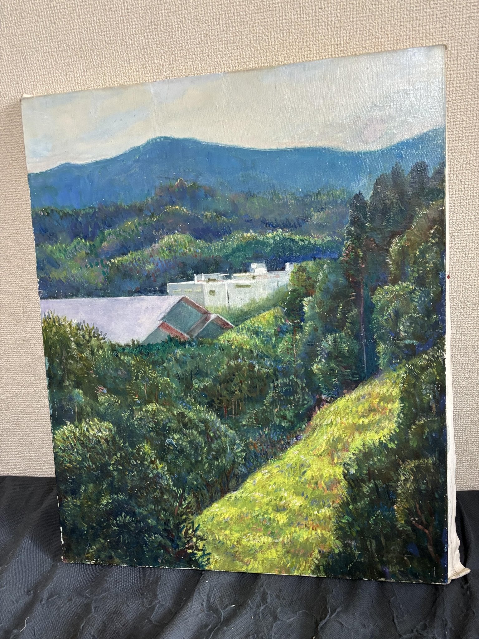 京都の山 - FROM ARTIST