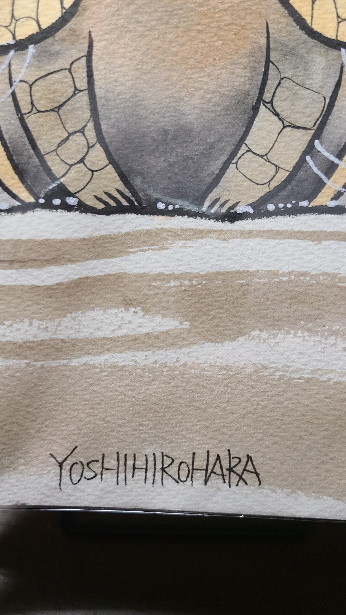 アルマジロ - FROM ARTIST