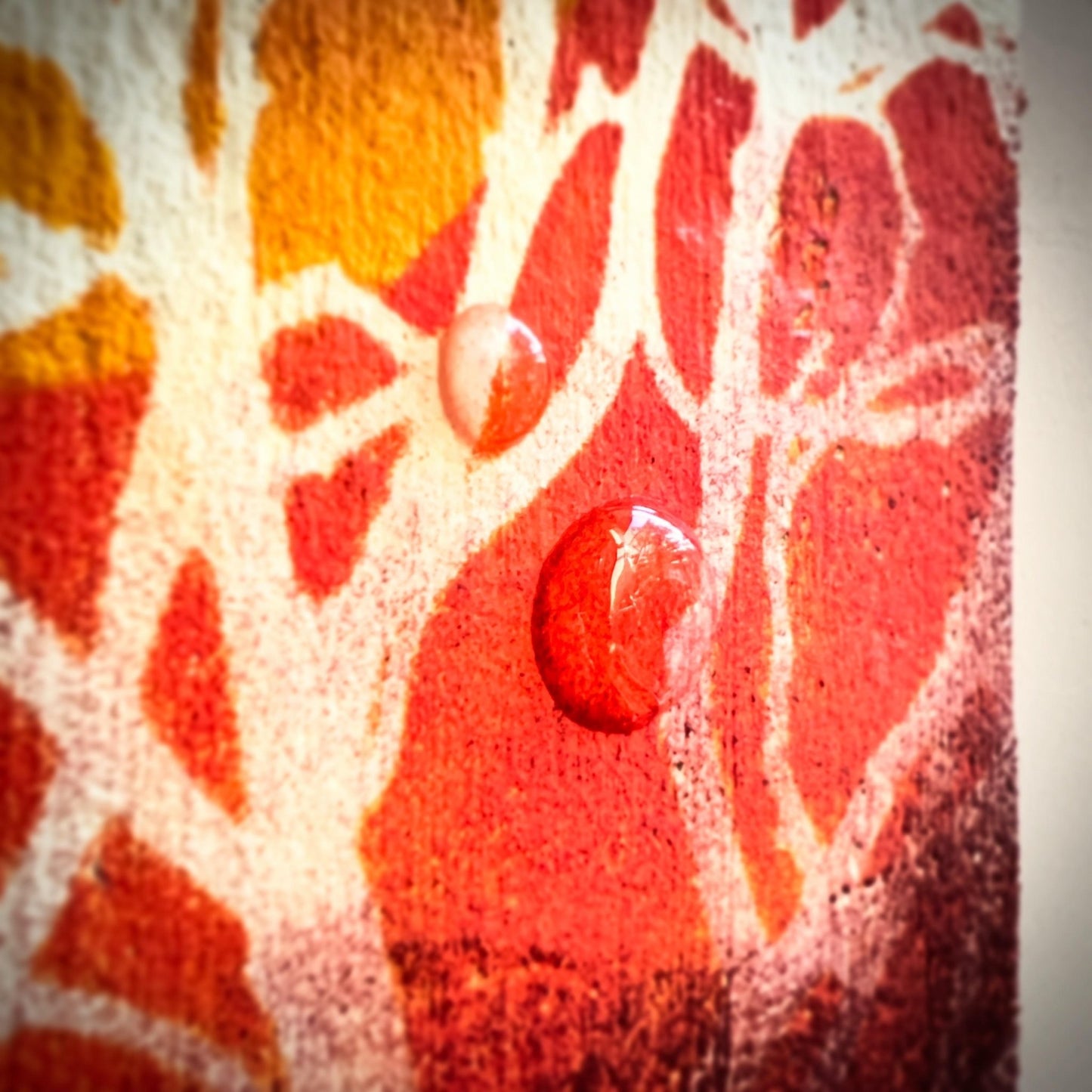 凍光（とうこう）の森 - FROM ARTIST