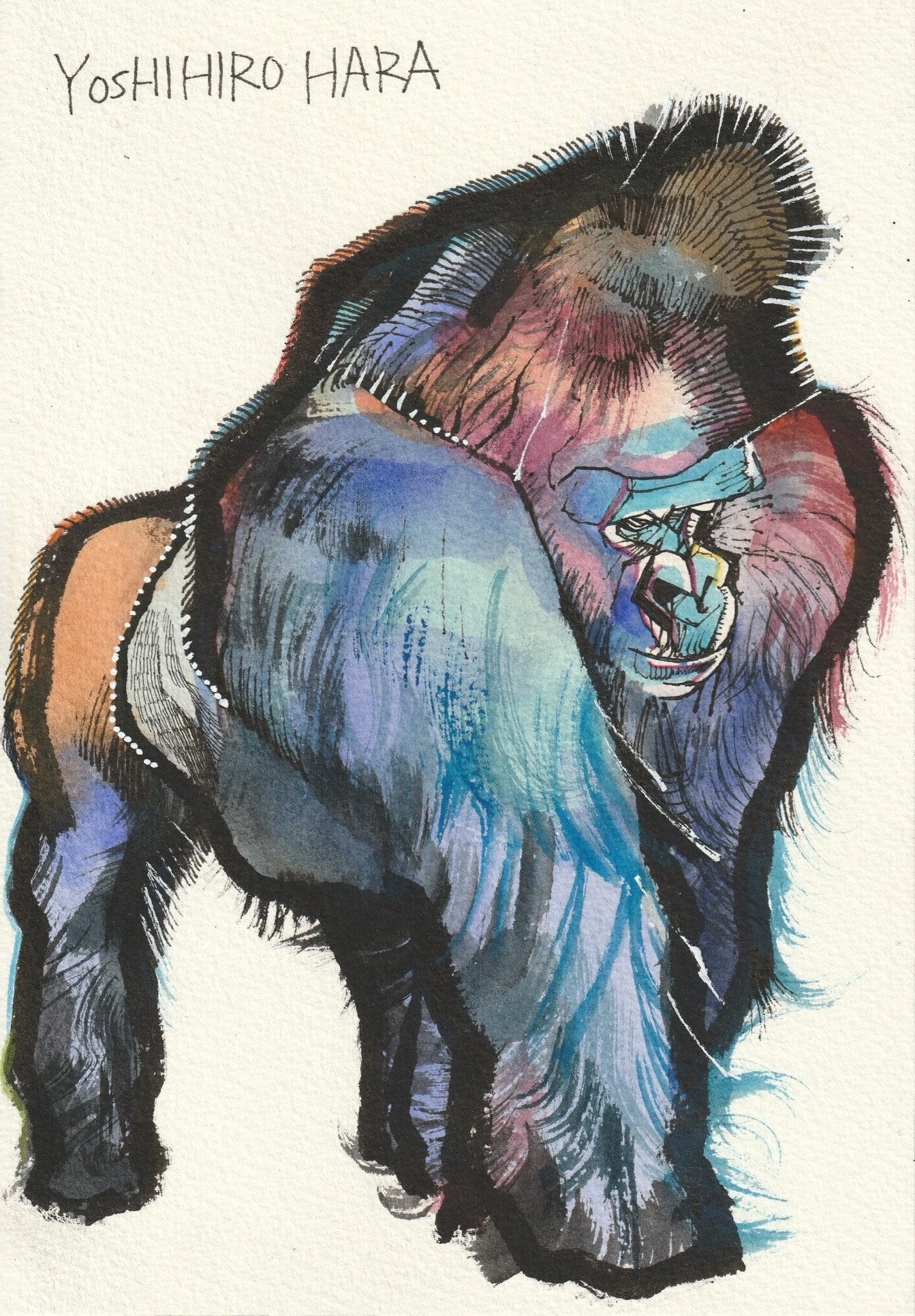 ニシゴリラのハオコ - FROM ARTIST