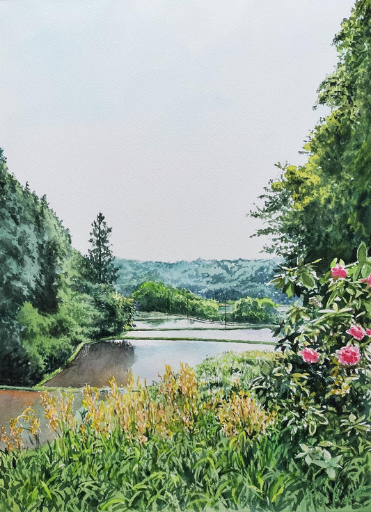 山里の水田 - FROM ARTIST