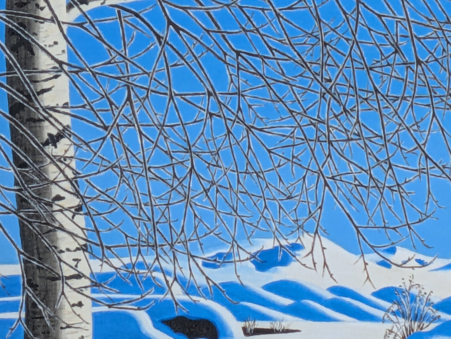大雪山と樹氷の大木 - FROM ARTIST