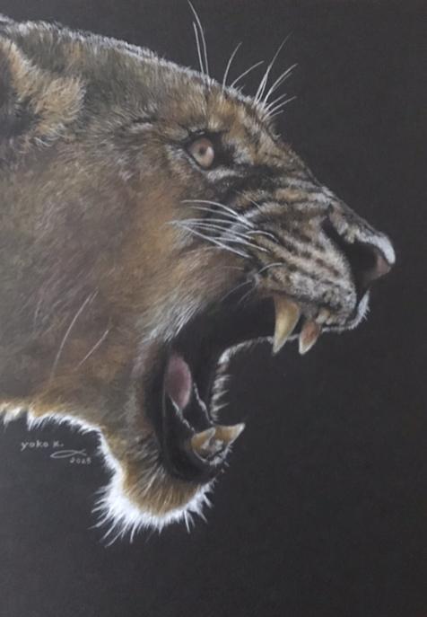 Roaring - FROM ARTIST