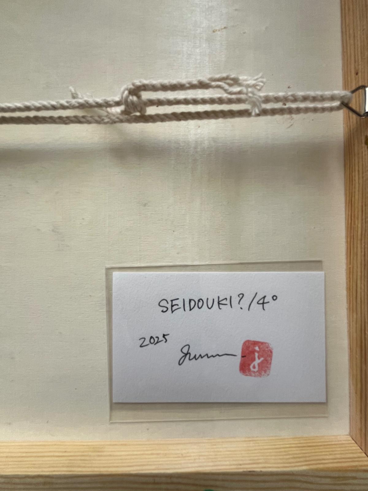 SEIDOUKI?/4° - FROM ARTIST