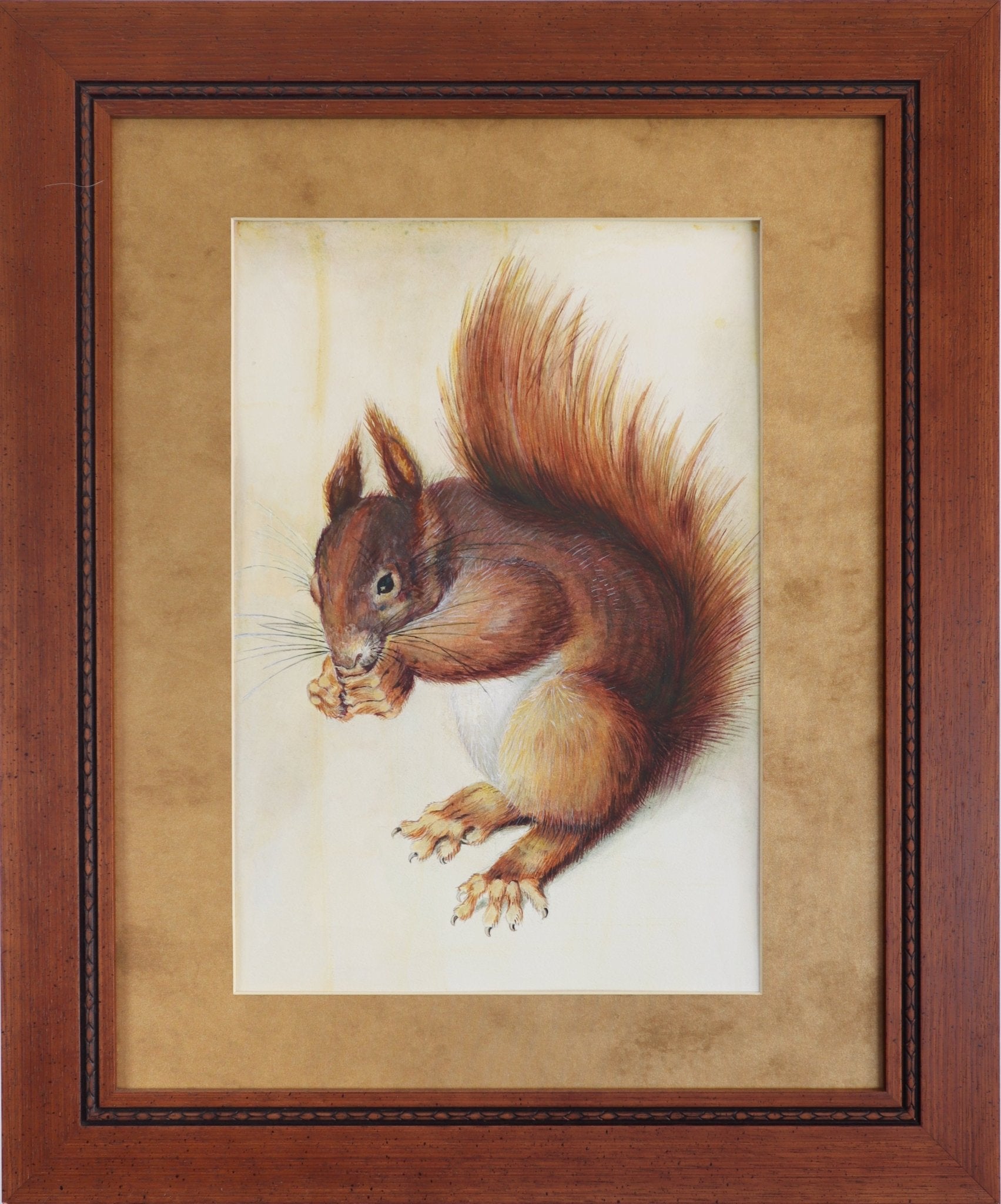 リス / Squirrel – FROM ARTIST