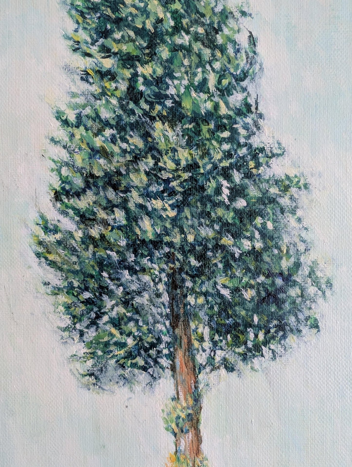 『風に立つ木（The tree in wind）』 - FROM ARTIST