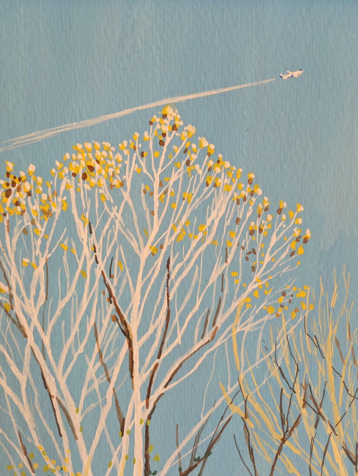 『白い木と…（The white trees and...）』 - FROM ARTIST
