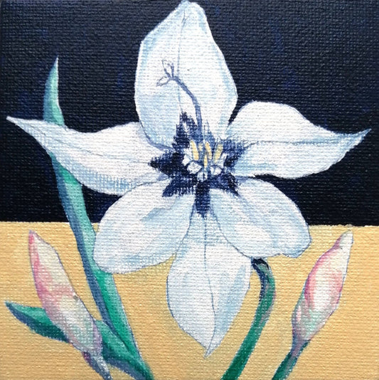 two-tone 　花２ - FROM ARTIST