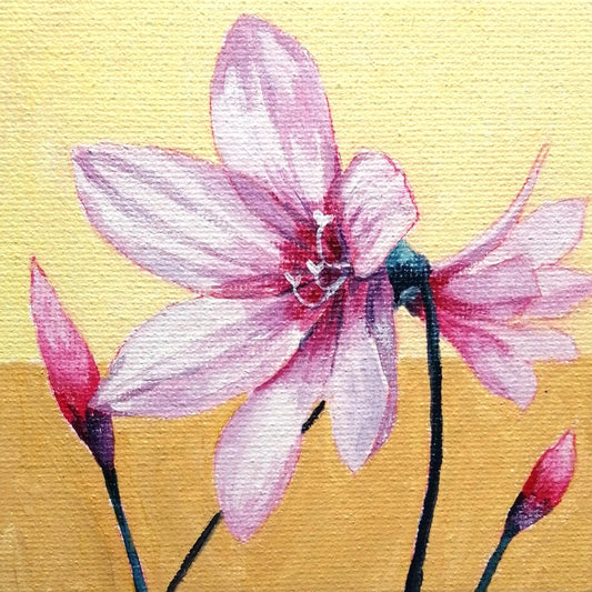 two-tone 　花３ - FROM ARTIST