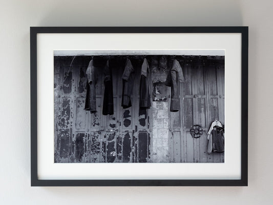 Wandering Olive Trees6 - FROM ARTIST