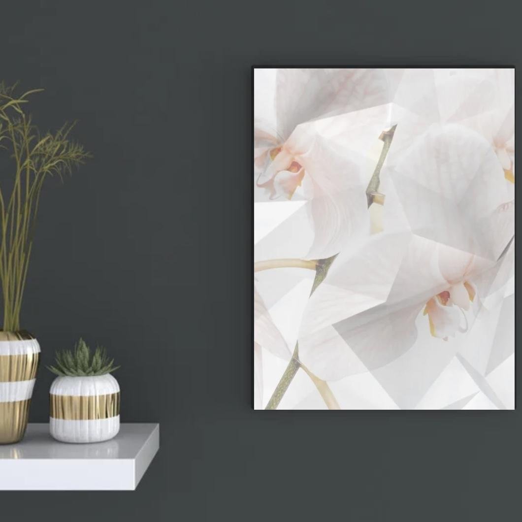 white phalaenopsis - FROM ARTIST