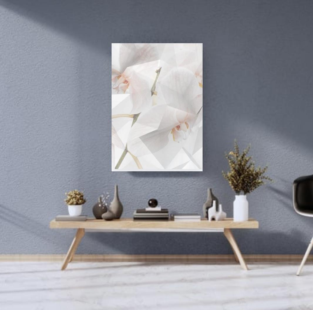 white phalaenopsis - FROM ARTIST