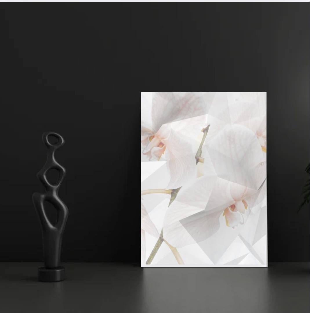 white phalaenopsis - FROM ARTIST