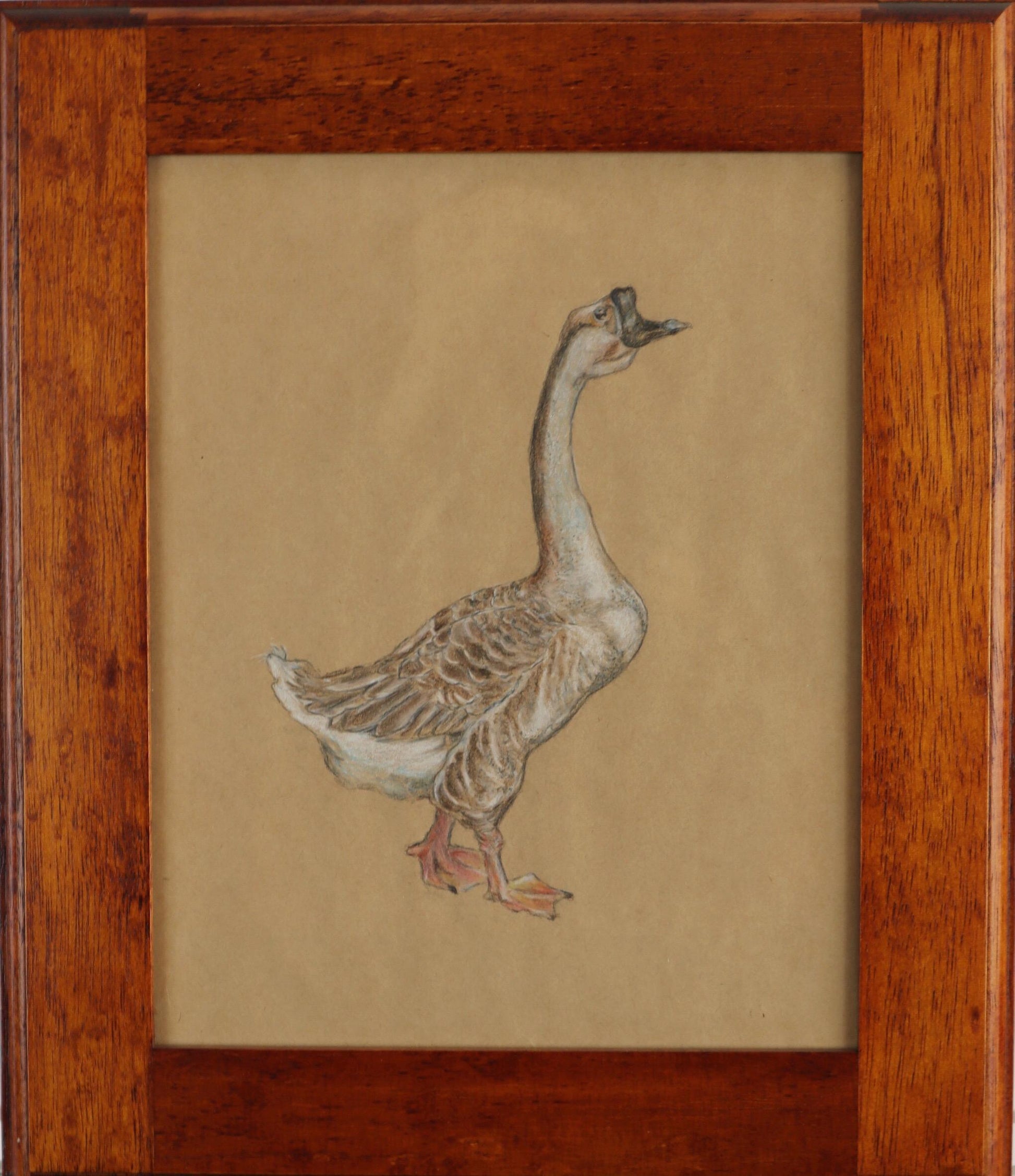 Goose - FROM ARTIST