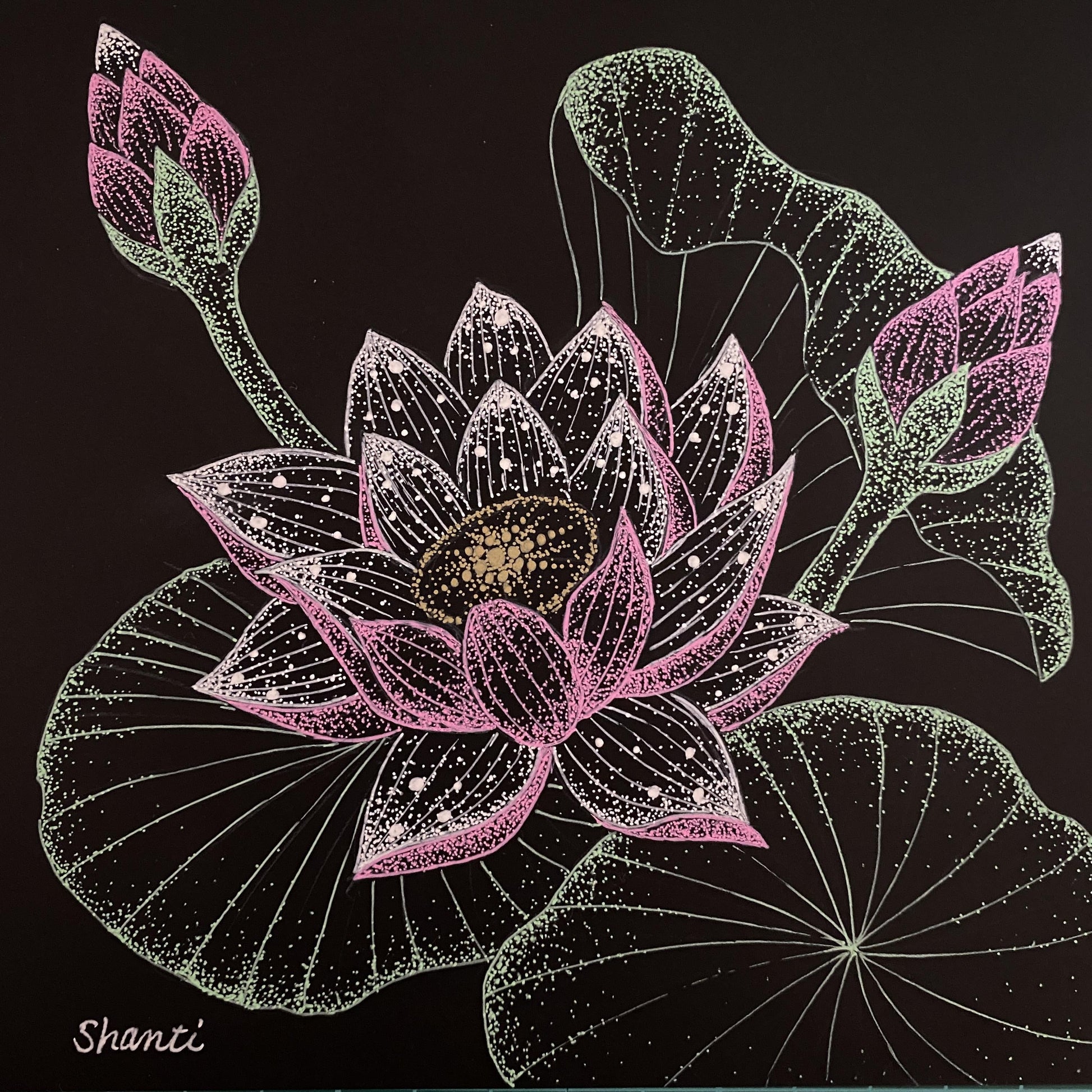 Lotus - FROM ARTIST