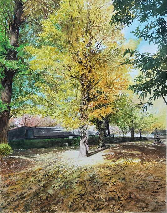 輝くイチョウ - FROM ARTIST