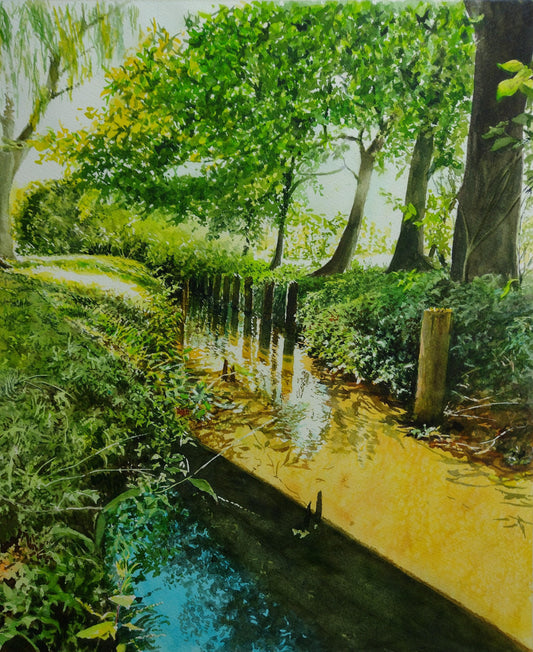 横切る陽射し - FROM ARTIST