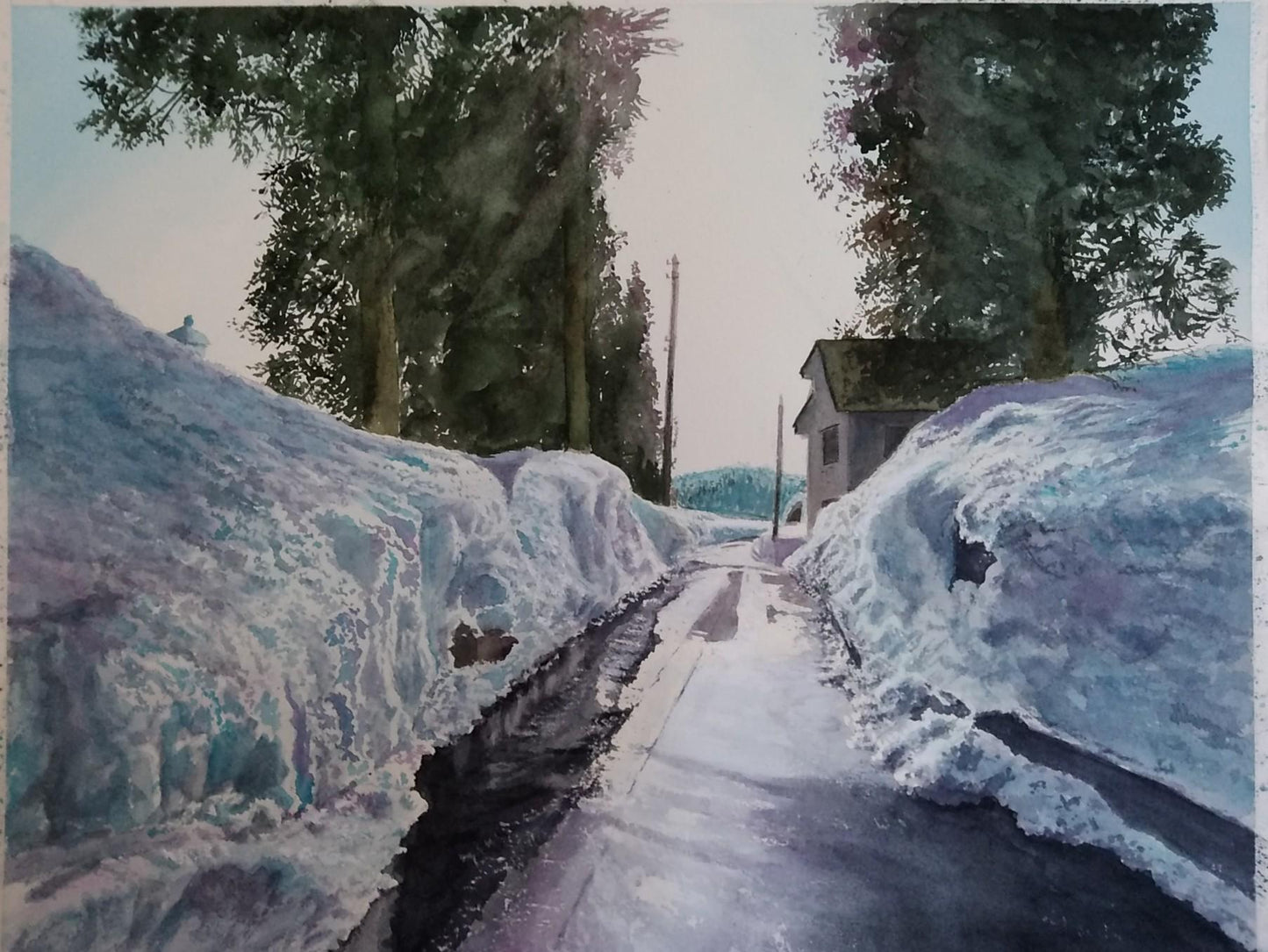 陽を受けて彩る雪色 - FROM ARTIST