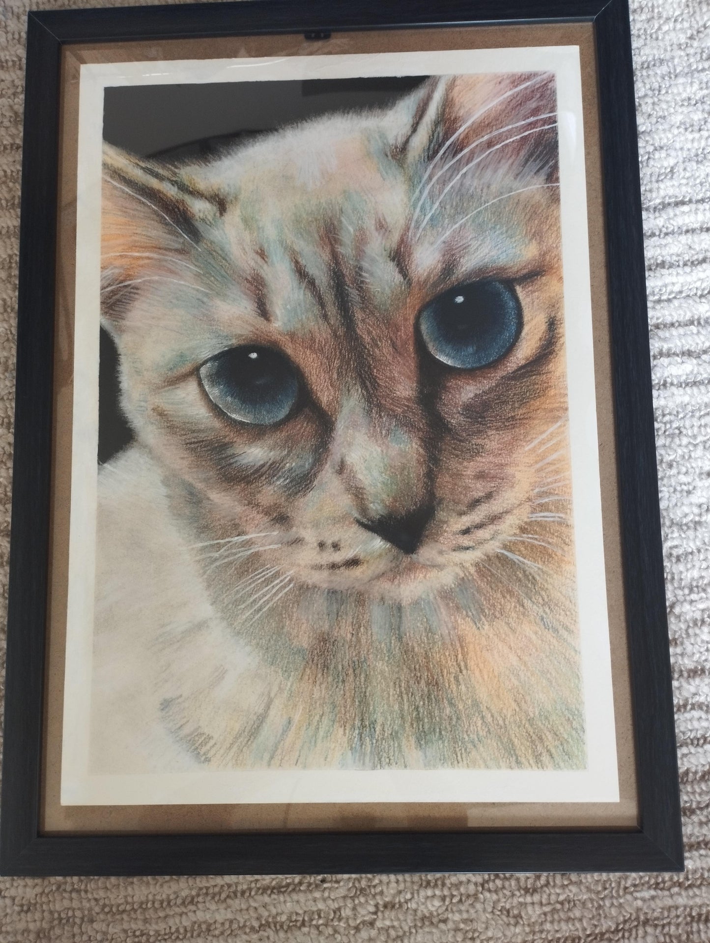 覗き込む猫 - FROM ARTIST