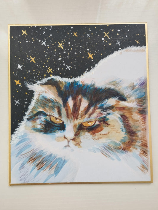 目の鋭い猫 - FROM ARTIST