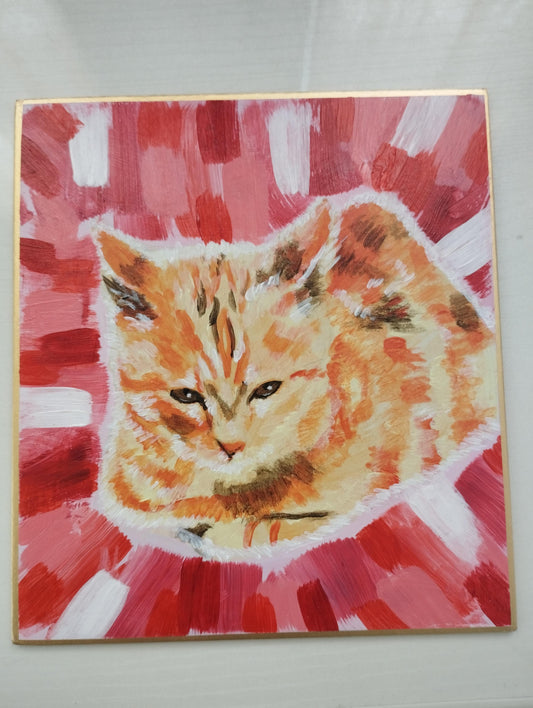 イカ耳の可愛い猫 - FROM ARTIST