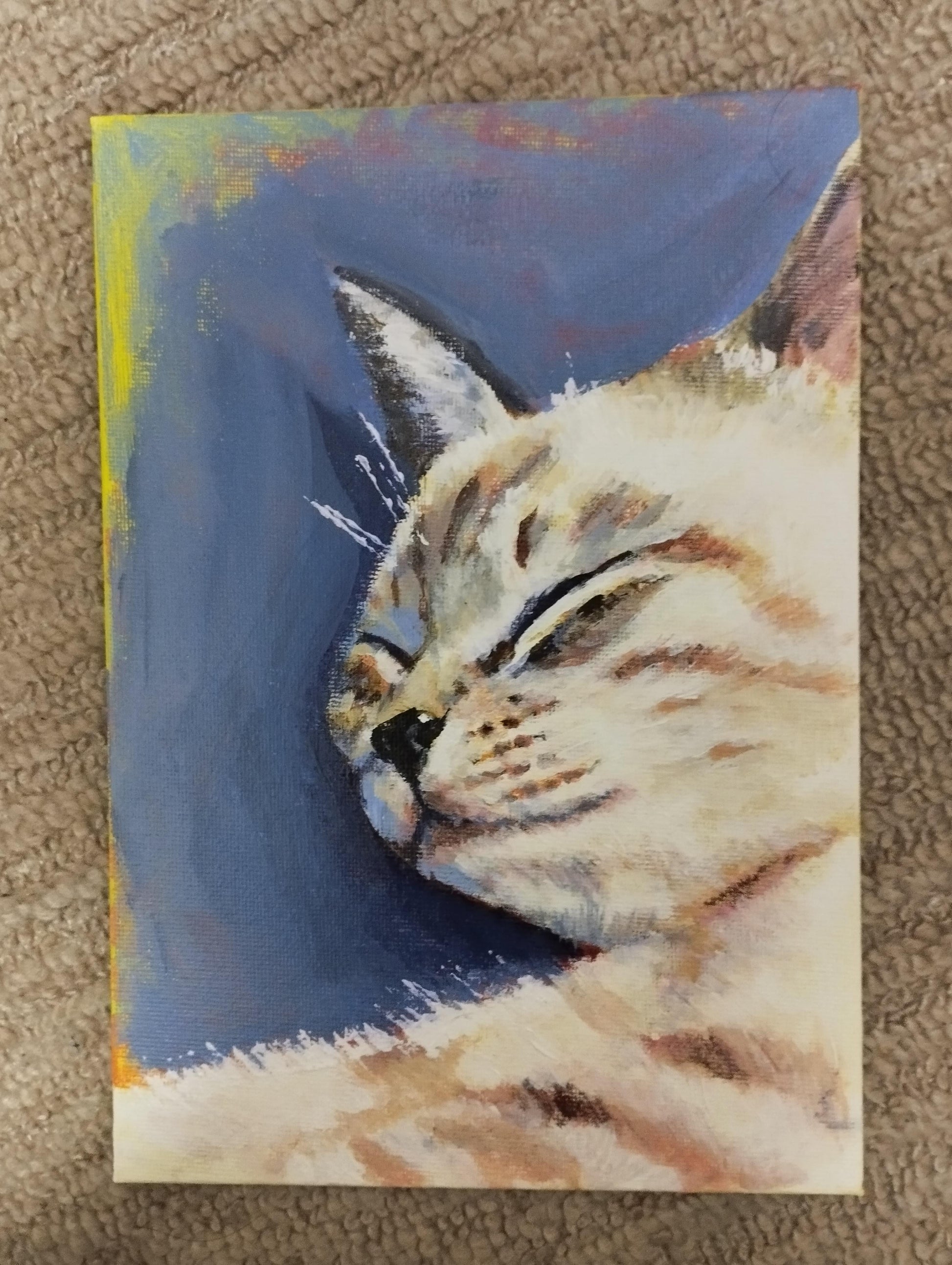 眠る猫 - FROM ARTIST