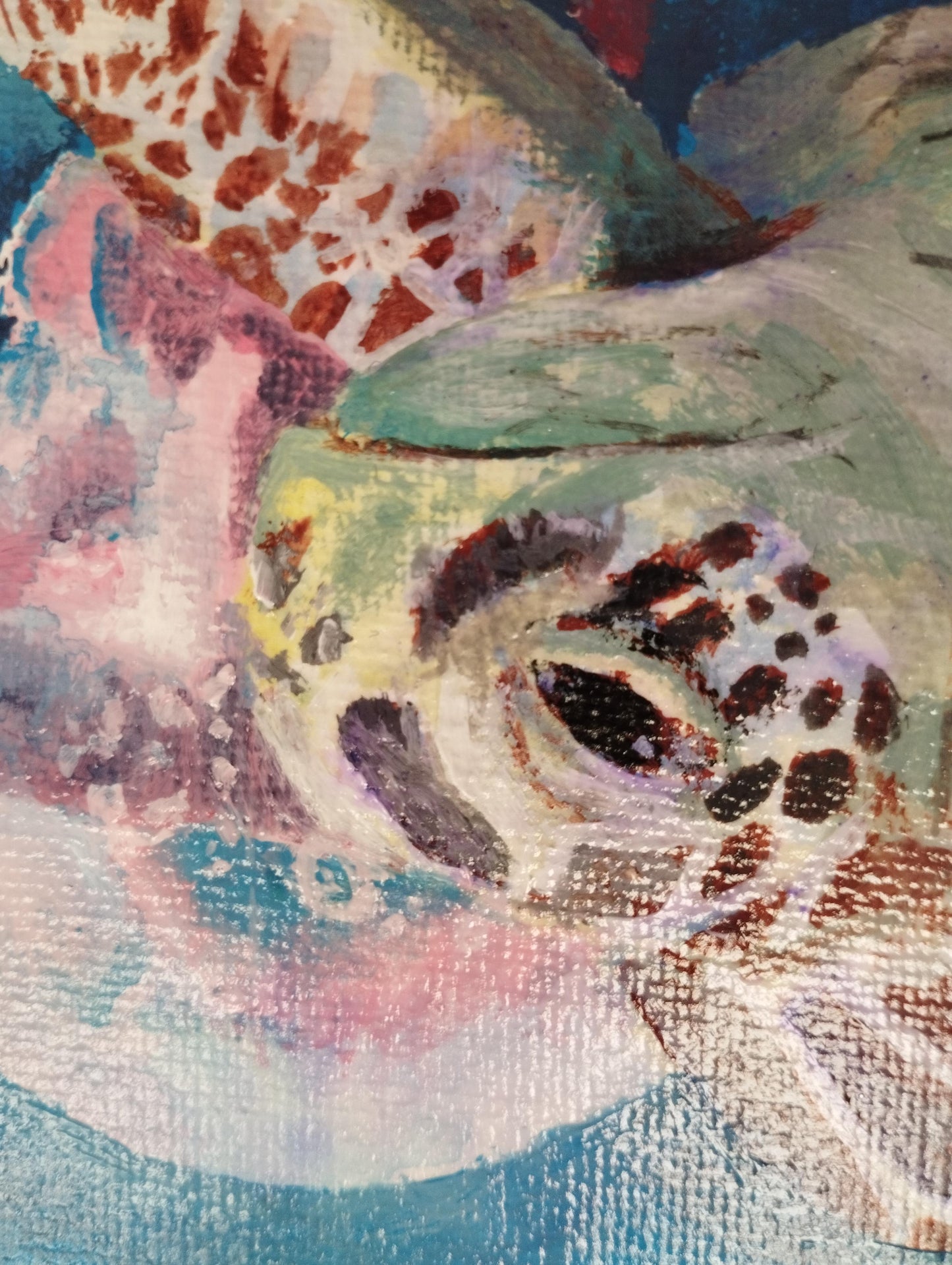 亀とクラゲ - FROM ARTIST