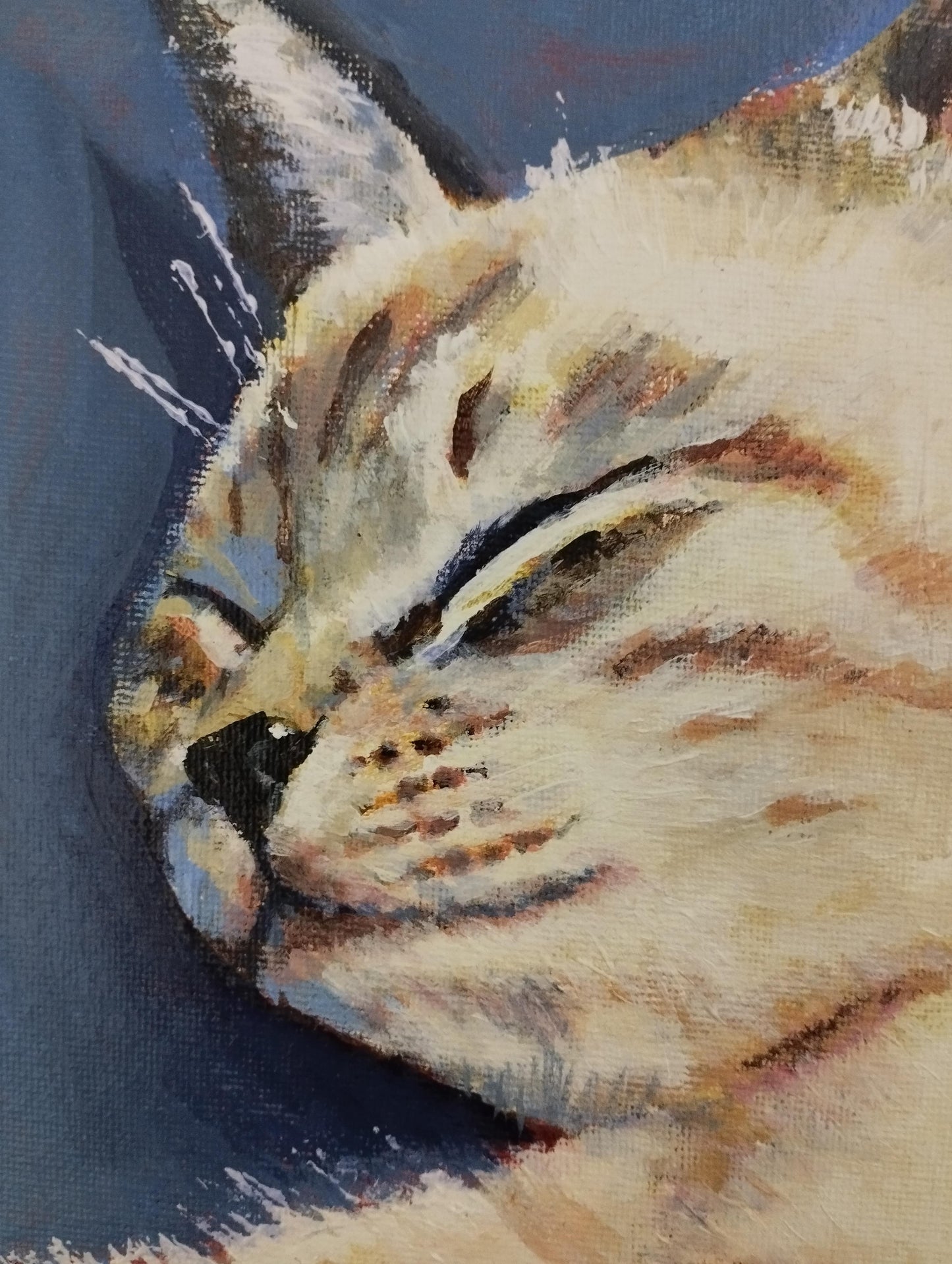 眠る猫 - FROM ARTIST