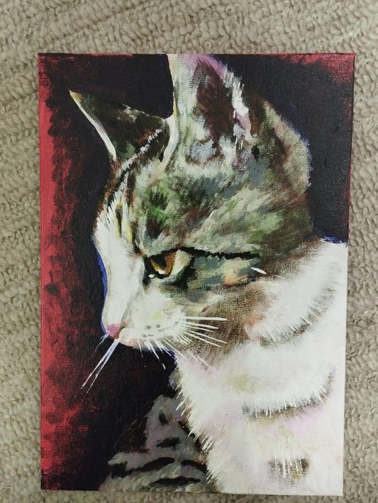 真剣な横顔の猫 - FROM ARTIST
