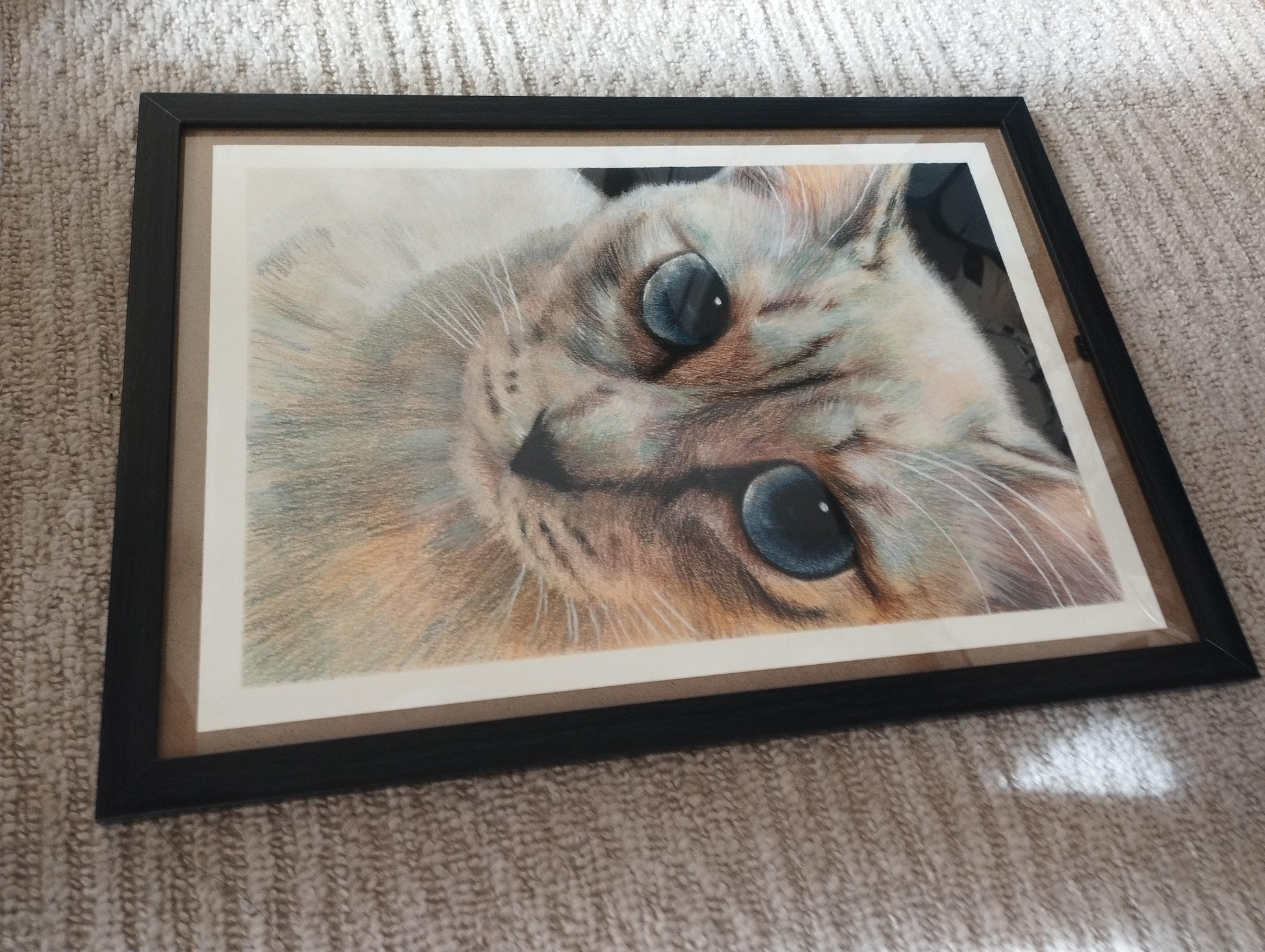 覗き込む猫 - FROM ARTIST
