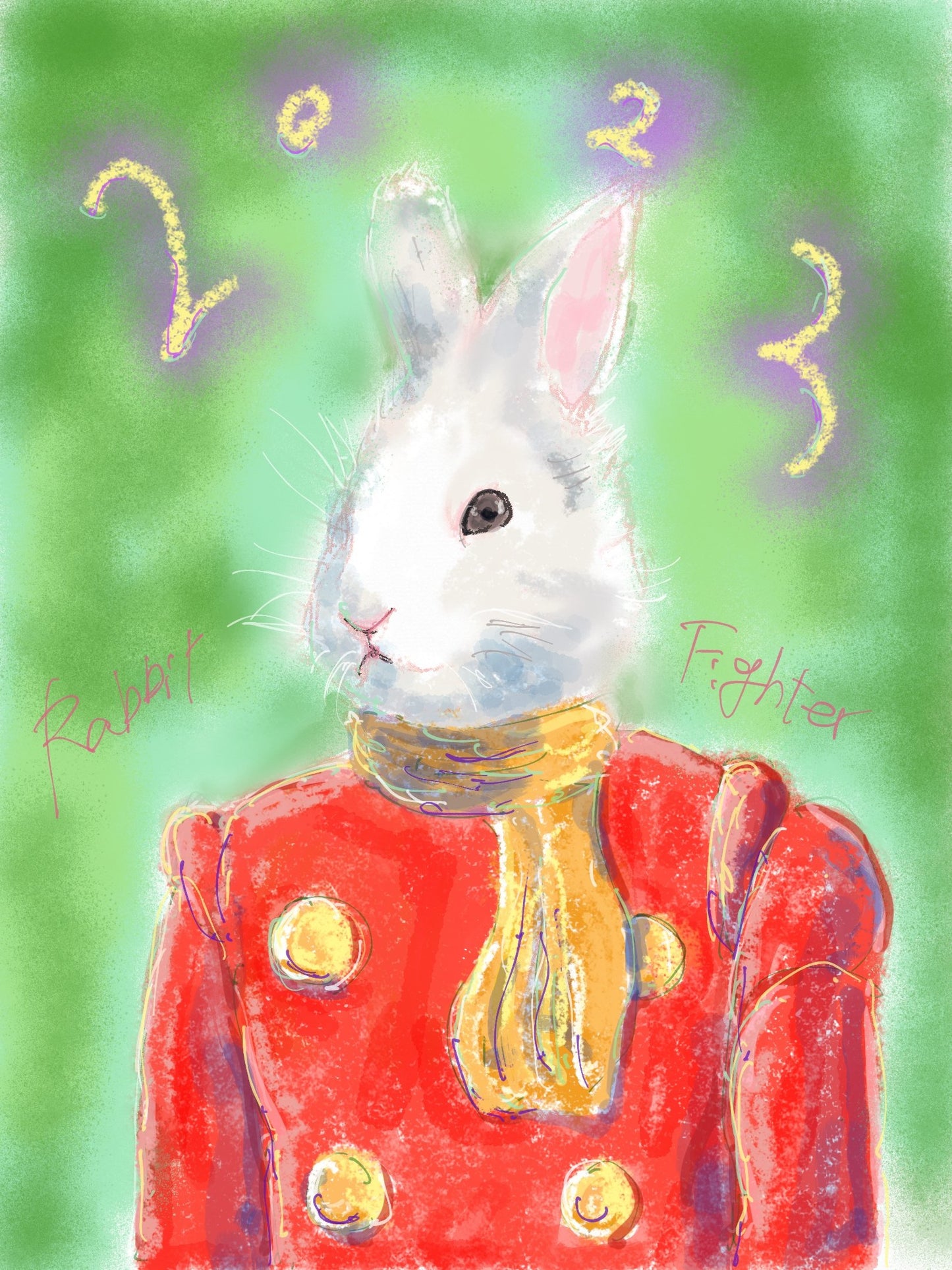 Rabbit Fighter - FROM ARTIST
