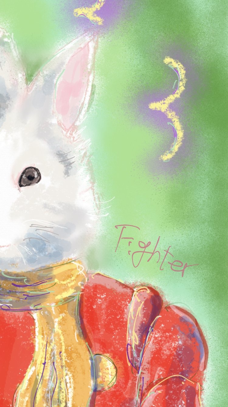 Rabbit Fighter - FROM ARTIST