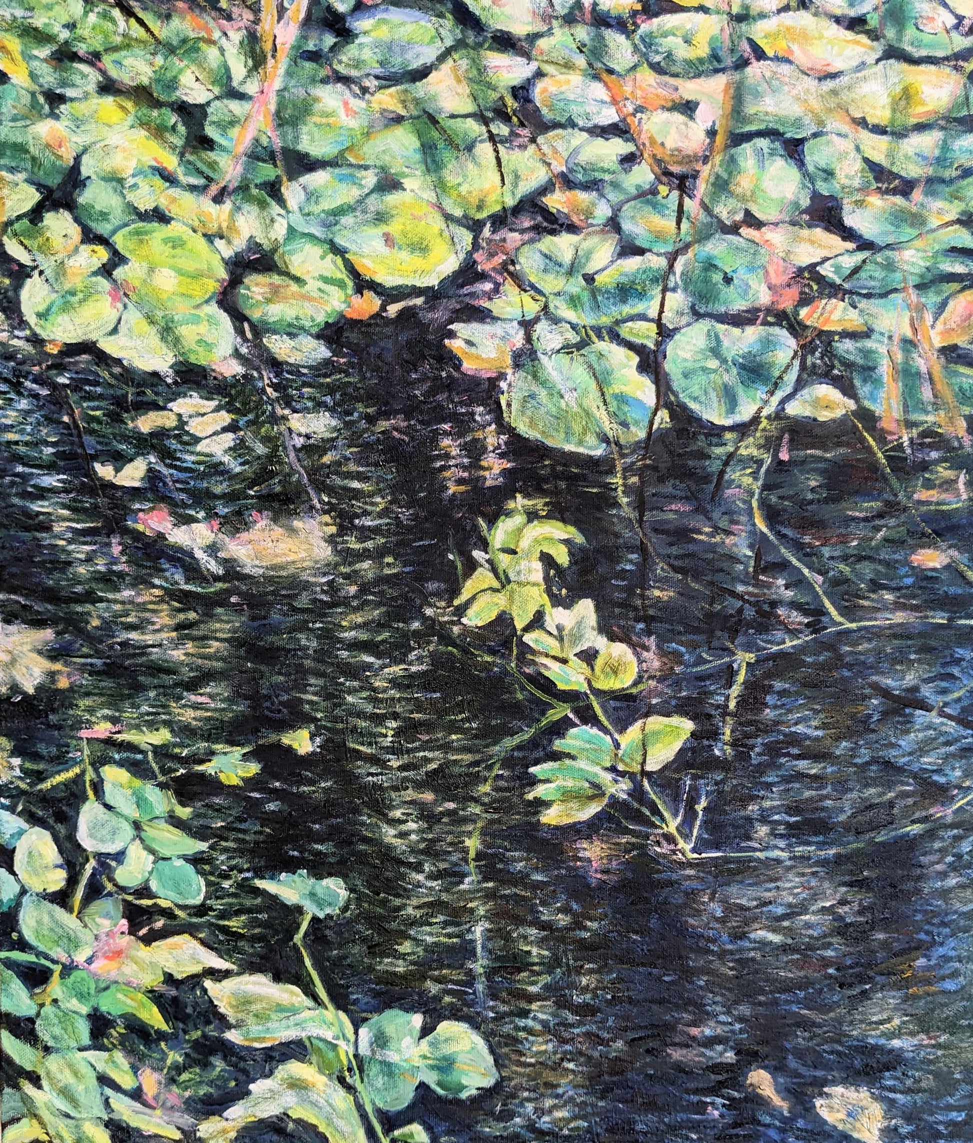 『湧き池(Spring pond)』 - FROM ARTIST