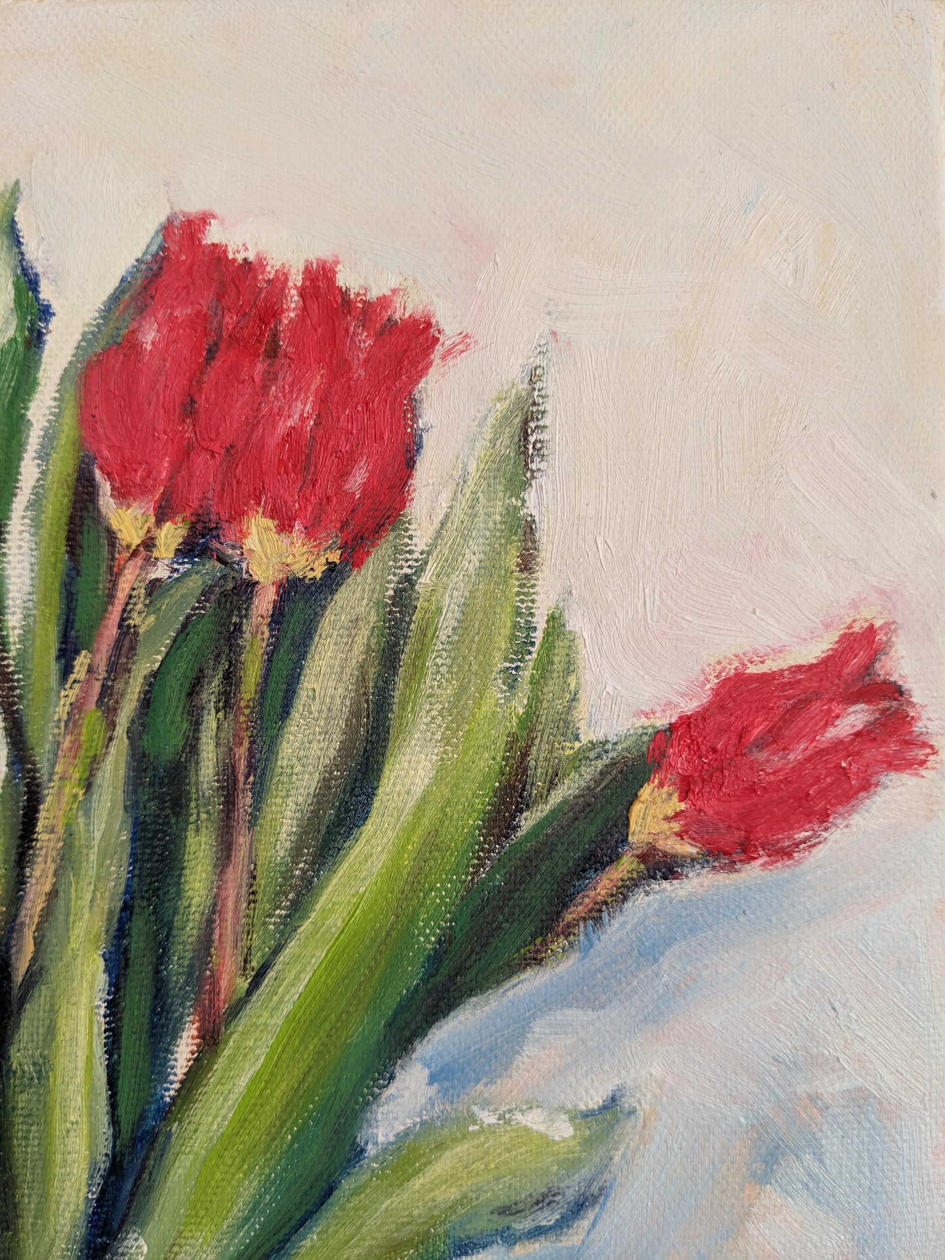 『先取りのチューリップ(Tulips before the season)』 - FROM ARTIST